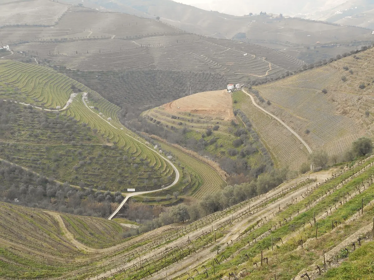 Switchback roads and terraced vineyards in the Douro Valley